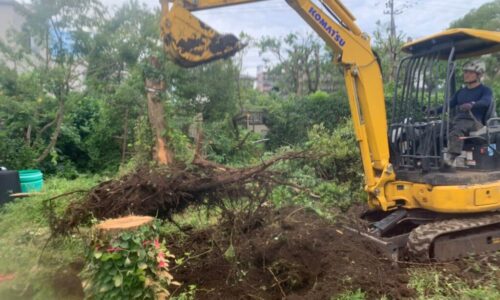 伐採が終わった所で重機で伐根作業を進めます。大きな根っこは土を出来るだけ落として処分場へ運びます